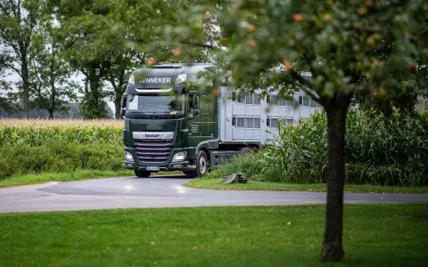 2019-09-04-venneker-schweine-verladung-002.jpg