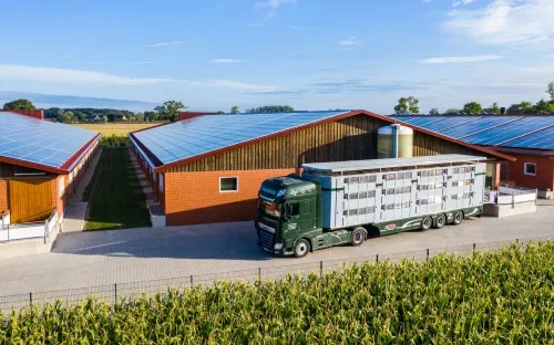 2019-09-04-venneker-schweine-verladung-158.jpg