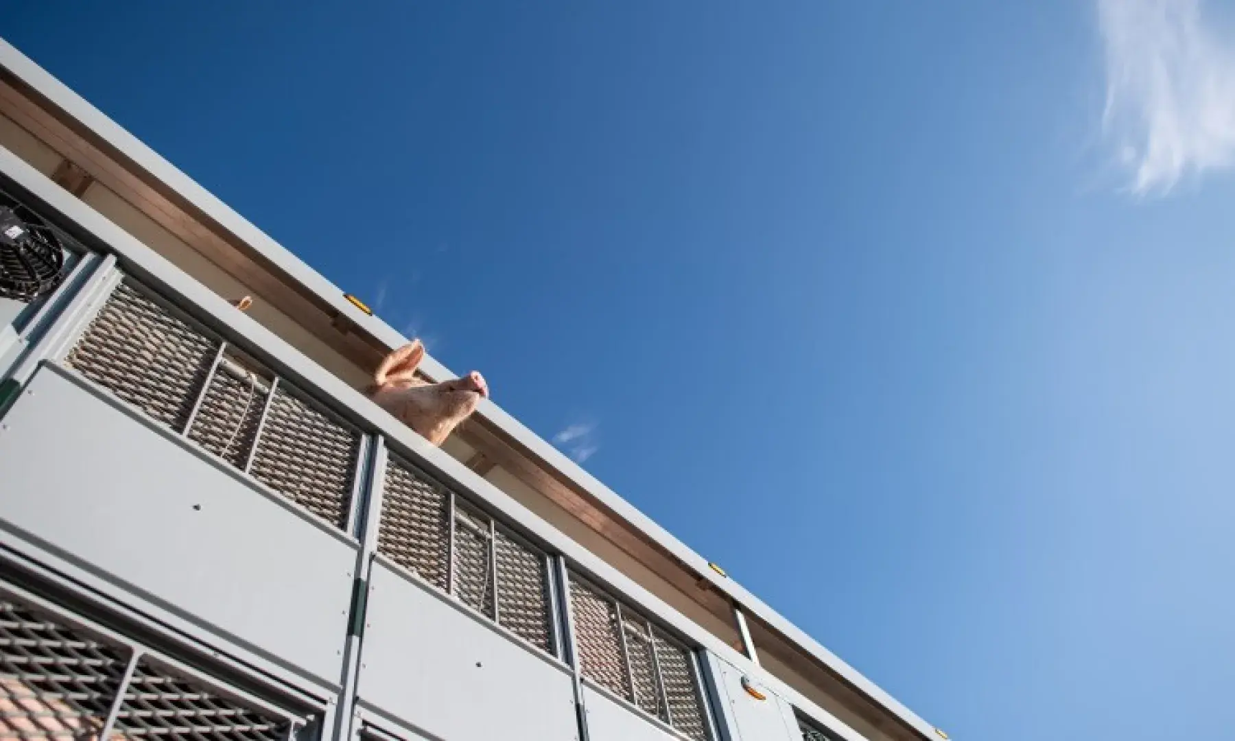 Wir bewegen was... und das auch noch mit angenehmen Temperaturen!