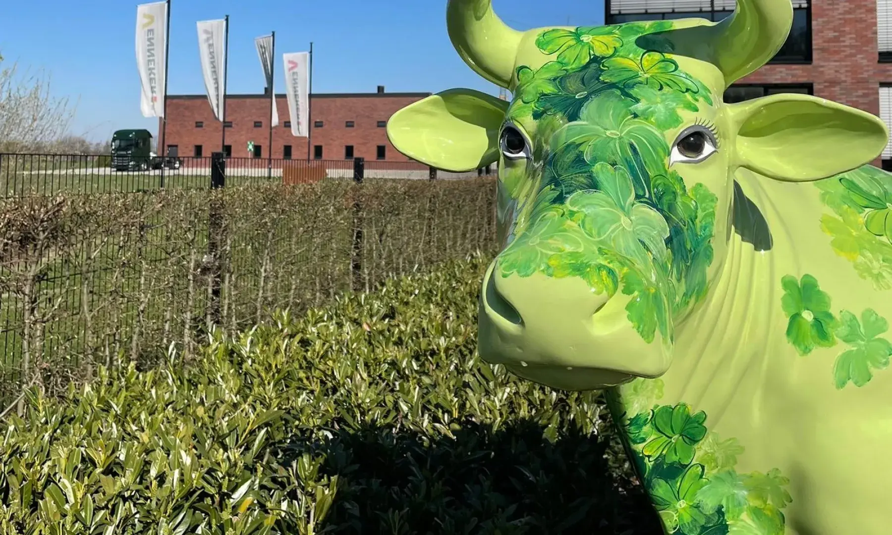 "Die K&uuml;he sind los"