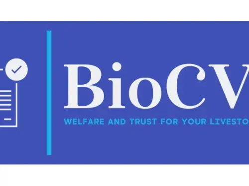 Wir gehen noch "einen Schritt weiter"!